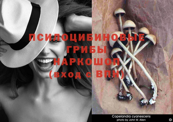 дурь Баксан