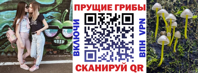 Галлюциногенные грибы Psilocybine cubensis  закладка  Энем 